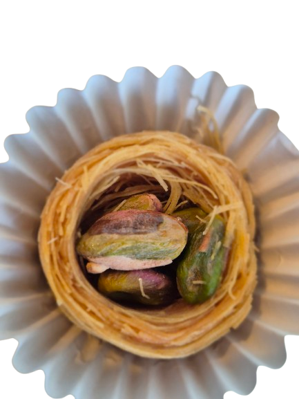 Bird Nest Gift Box 6 pcs